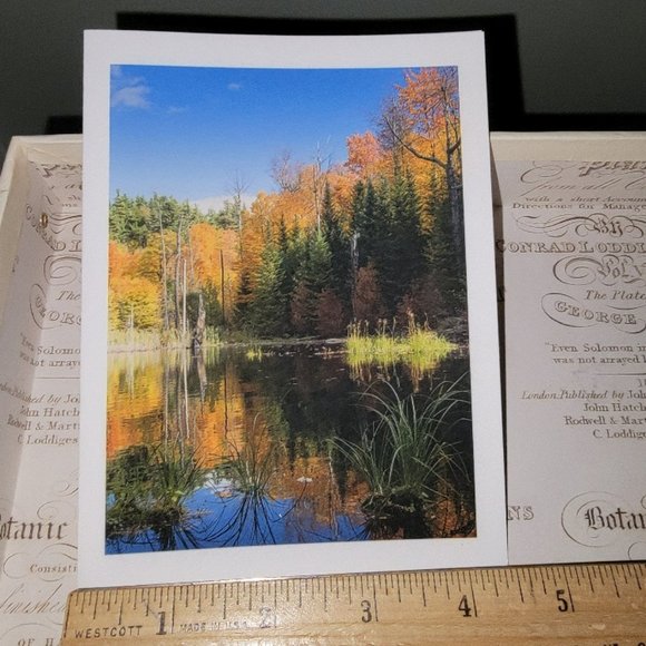 Packet of 8 Notecards - Adirondack Light 1 - Picture 14 of 14
